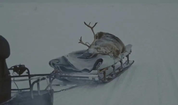 Голоса Арктики (2022) в хорошем качестве скачать торрент файл Голоса Арктики (2022) фильм в хорошем качестве скачать торрент файл