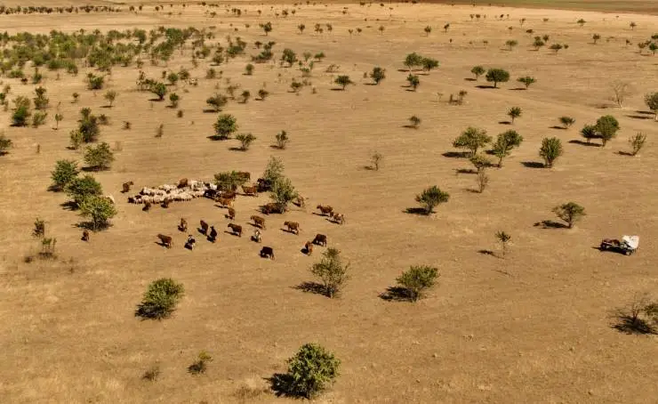 Крым небесный (2020) скачать торрент бесплатно Крым небесный (2020) фильм скачать торрент бесплатно