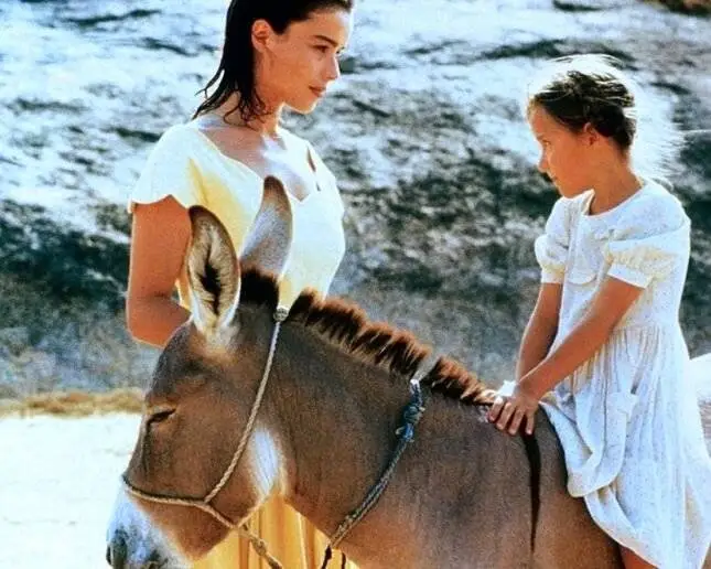 Шоколад (1988) в хорошем качестве скачать торрент файл Шоколад (1988) фильм в хорошем качестве скачать торрент файл