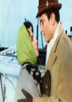 Баттерфилд 8 (1960) скачать торрент бесплатно Баттерфилд 8 (1960) фильм скачать торрент бесплатно