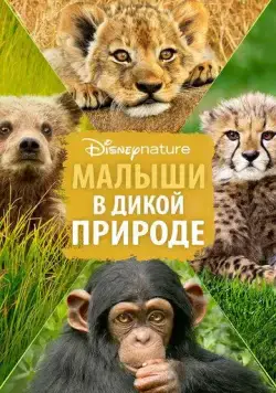 Малыши в дикой природе / Growing Up Wild (2015) фильм скачать через торрет бесплатно в хорошем качестве