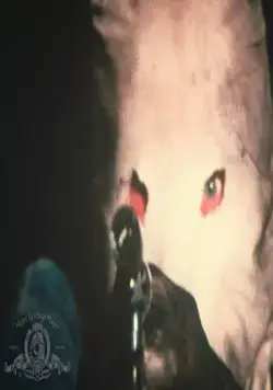 Город, который боялся заката (1976) в хорошем качестве скачать торрент файл Город, который боялся заката (1976) фильм в хорошем качестве скачать торрент файл