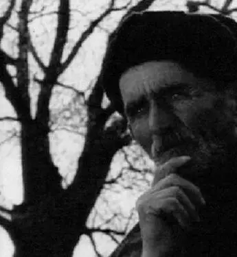 Саженцы (1972) скачать торрент файл Саженцы (1972) фильм скачать торрент файл