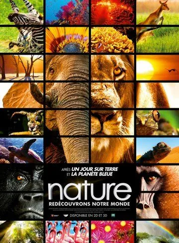 Заколдованное королевство 3D / Enchanted Kingdom 3D (2014) фильм скачать через торрет бесплатно в хорошем качестве