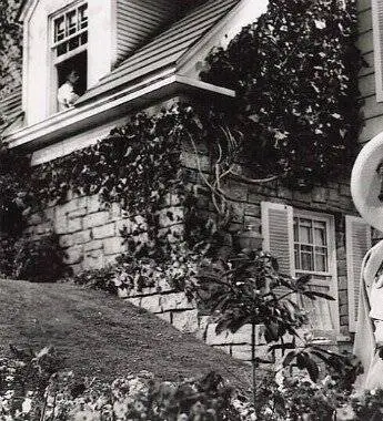 Чай и симпатия (1956) скачать торрент файл Чай и симпатия (1956) фильм скачать торрент файл