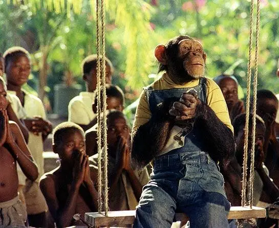 Африка экспресс (1975) скачать торрент бесплатно Африка экспресс (1975) фильм скачать торрент бесплатно