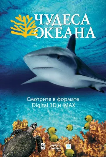 Чудеса океана 3D / Ocean Wonderland (2003) фильм скачать через торрет бесплатно в хорошем качестве