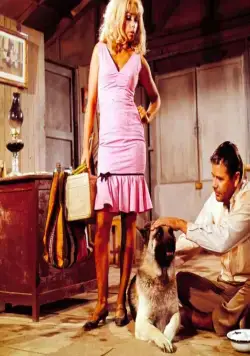 Ярость (1966) в хорошем качестве скачать торрент файл Ярость (1966) фильм в хорошем качестве скачать торрент файл