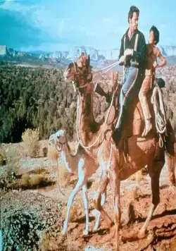 Один маленький индеец (1973) скачать торрент бесплатно Один маленький индеец (1973) фильм скачать торрент бесплатно