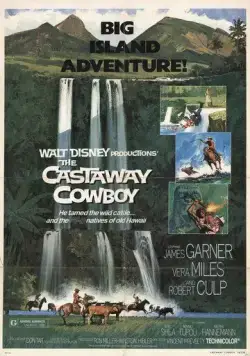 Ковбой издалека / The Castaway Cowboy (1974) фильм скачать через торрет бесплатно в хорошем качестве