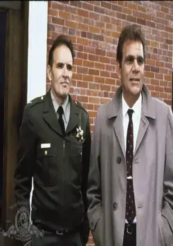 Леди в белом (1988) скачать торрент файл Леди в белом (1988) фильм скачать торрент файл