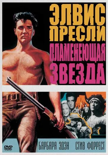 Пламенеющая звезда / Flaming Star (1960) фильм скачать через торрет бесплатно в хорошем качестве