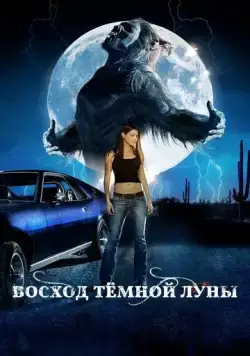 Восход темной луны / Dark Moon Rising (2009) фильм скачать через торрет бесплатно в хорошем качестве