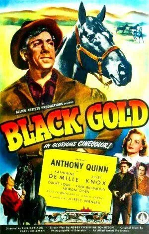 Черное золото / Black Gold (1947) фильм скачать через торрет бесплатно в хорошем качестве
