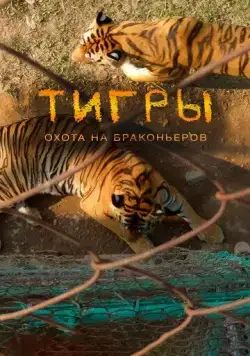 Тигры: Охота на браконьеров / Tigers: Hunting the Traffickers (2020) фильм скачать через торрет бесплатно в хорошем качестве