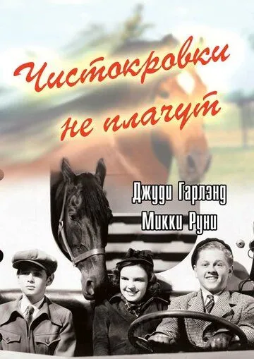 Чистокровки не плачут / Thoroughbreds Don't Cry (1937) фильм скачать через торрет бесплатно в хорошем качестве