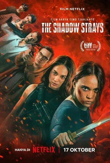 Блуждающая тень / The Shadow Strays (2024) фильм скачать через торрет бесплатно в хорошем качестве