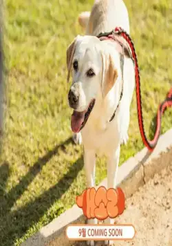 Пёсель знает всё (2024) в хорошем качестве скачать торрент файл Пёсель знает всё (2024) сериал в хорошем качестве скачать торрент файл