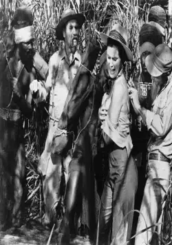 Надувательство (1970) в хорошем качестве скачать торрент файл Надувательство (1970) фильм в хорошем качестве скачать торрент файл