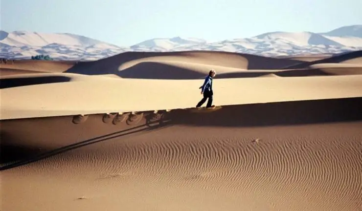 Мечта Липпеля (2009) скачать торрент файл Мечта Липпеля (2009) фильм скачать торрент файл