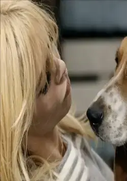 Две недели в сентябре (1967) в хорошем качестве скачать торрент файл Две недели в сентябре (1967) фильм в хорошем качестве скачать торрент файл