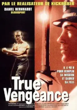 Один против якудза / True Vengeance (1997) фильм скачать через торрет бесплатно в хорошем качестве