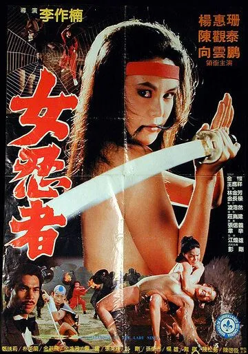 Задание леди-ниндзя / Lang nu shen long jian (1983) фильм скачать через торрет бесплатно в хорошем качестве