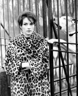 Зеленый лучник (1961) скачать торрент бесплатно Зеленый лучник (1961) фильм скачать торрент бесплатно