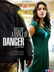 Следы опасности / A Trace of Danger (2010) фильм скачать через торрет бесплатно в хорошем качестве