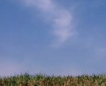 Долгая прогулка (2006) скачать торрент бесплатно Долгая прогулка (2006) фильм скачать торрент бесплатно