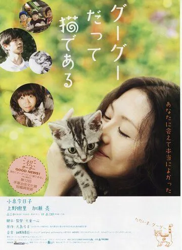 Кот по имени Гу-Гу / Gou-Gou datte neko de aru (2008) фильм скачать через торрет бесплатно в хорошем качестве