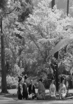 Госпожа Ою (1951) скачать торрент бесплатно Госпожа Ою (1951) фильм скачать торрент бесплатно