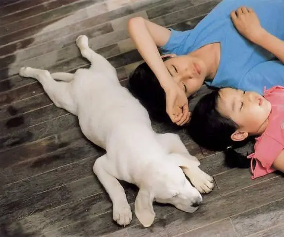 Искренние лапы (2006) скачать торрент файл Искренние лапы (2006) фильм скачать торрент файл