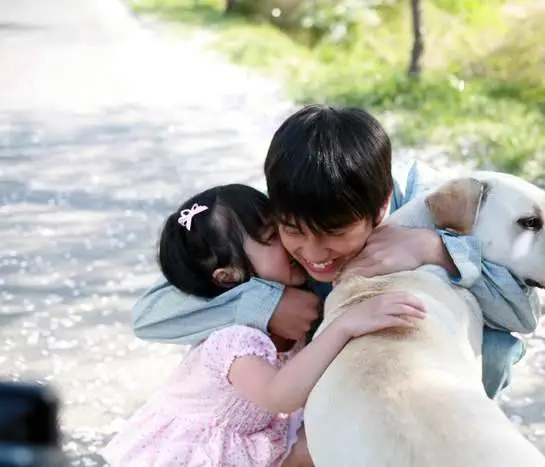 Искренние лапы (2006) в хорошем качестве скачать торрент файл Искренние лапы (2006) фильм в хорошем качестве скачать торрент файл