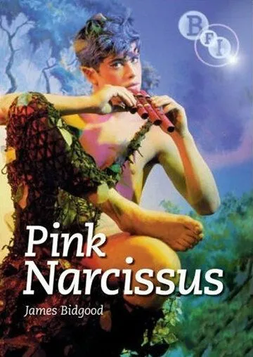 Розовый нарцисс / Pink Narcissus (1971) фильм скачать через торрет бесплатно в хорошем качестве
