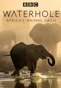 BBC. Водопой: Африканский Оазис для Животных / Waterhole: Africa's Animal Oasis (2020) cериал скачать через торрет бесплатно в хорошем качестве