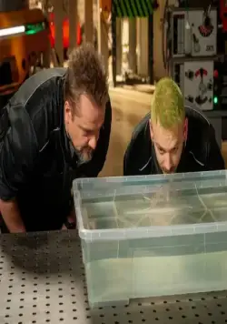 Эксперименты (2021) 1 сезон 1-10,11,12 серия в хорошем качестве скачать торрент файл Эксперименты (2021) сериал 1-10,11,12 серию 1 сезона в хорошем качестве скачать торрент файл