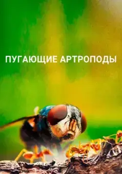 Пугающие артроподы / Creepy Crawlies (2021) cериал скачать через торрет бесплатно в хорошем качестве