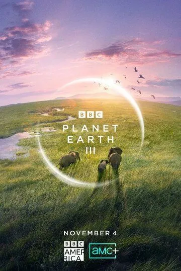 BBC: Планета Земля III / Planet Earth III (2023) cериал скачать через торрет бесплатно в хорошем качестве