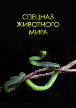 Спецназ животного мира / Animal Special Forces (2018) cериал скачать через торрет бесплатно в хорошем качестве