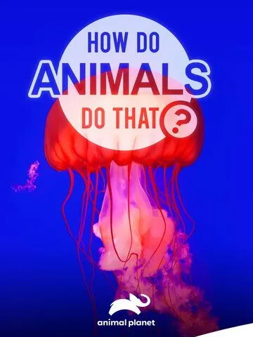 Удивительный мир животных / How do Animals do That (2019) сериал скачать через торрет бесплатно в хорошем качестве