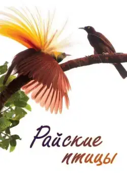 Райские птицы / Birds of Paradise (2014) cериал скачать через торрет бесплатно в хорошем качестве