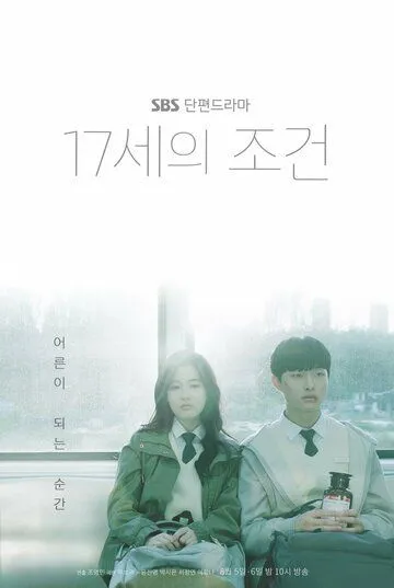Условия 17-летних / 17seui jogeon (2019) сериал скачать через торрет бесплатно в хорошем качестве