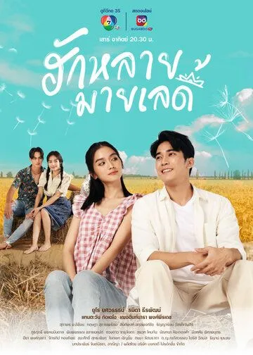 Влюблён в мою прекрасную леди / Hak Lai, My Lady (2023) сериал скачать через торрет бесплатно в хорошем качестве