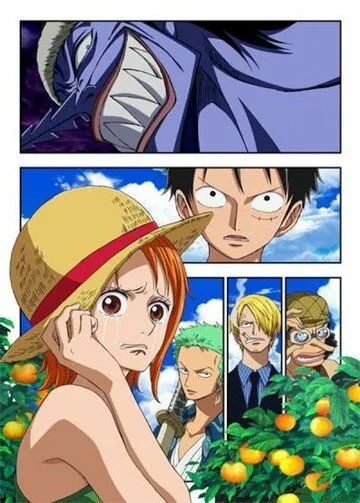 Ван-Пис: Эпизод Нами: Слёзы навигатора и узы дружбы / One Piece: Episode of Nami - Koukaishi no Namida to Nakama no Kizuna (2012)  мультфильм  скачать через торрет бесплатно в хорошем качестве
