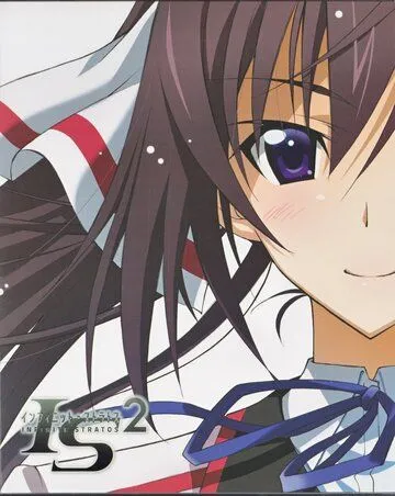 Бесконечные небеса 2: Воспоминания о лете / IS: Infinite Stratos 2 - Hitonatsu no Omoide (2013) мультфильм скачать через торрет бесплатно в хорошем качестве