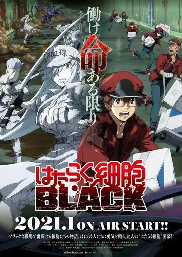 Клетки за работой! Тёмная сторона / Hataraku Saibou Black (2021) мультфильм скачать через торрет бесплатно в хорошем качестве