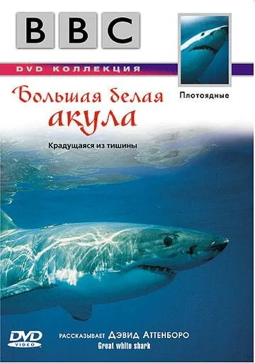 BBC: Большая белая акула / Great White Shark (1995) фильм скачать через торрет бесплатно в хорошем качестве