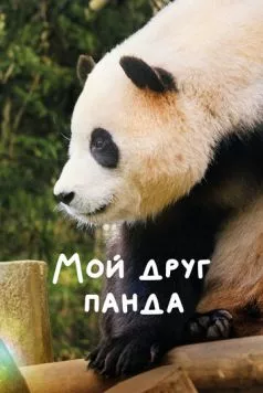 Мой друг панда / My Dearest Fu Bao (2024) фильм скачать через торрет бесплатно в хорошем качестве