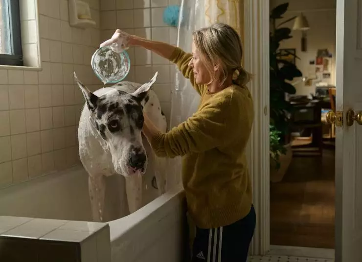 Верный друг (2024) скачать торрент бесплатно Верный друг (2024) фильм скачать торрент бесплатно